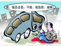 【交通事故案】交通事故，成功为伤者索要458549.13元