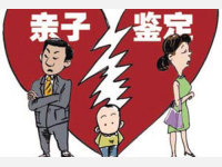 亲子鉴定女儿非亲生 要求离婚损害赔偿获支持
