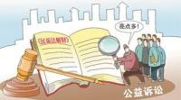 公益诉讼