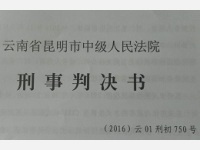 【毒品案件成功辩护案例】运输毒品458.1克成功案例