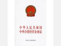 新加坡中华环保公司与大拇指公司出资纠纷案