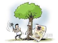 重庆一滥伐运输收购林木犯罪链人员全部获刑