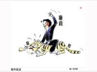云南省委原副书记仇和受贿案一审：当庭认罪