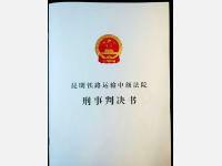 可喜可贺的15年有期徒刑——重大毒品案件辩护逆转记