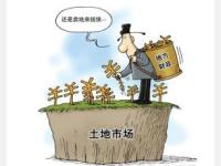 农村集体所有的土地租赁合同纠纷