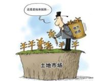 农村集体所有的土地租赁合同纠纷