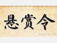 最高院|5月1日起可以申请对被执行人进行专项审计和悬赏全网追查财产(系列新规全文）