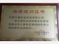 常见案件诉讼时效
