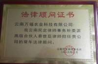 常见案件诉讼时效