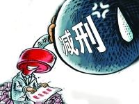 最高人民法院关于办理减刑、假释案件具体应用法律的补充规定
