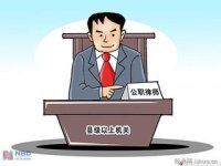 推行法律顾问制度和公职律师公司律师制度的意见