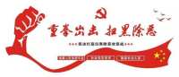关于办理黑恶势力刑事案件中财产处置若干问题的意见