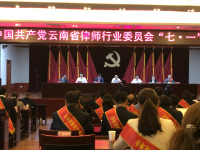 云南民定律师事务所支部委员会被表彰为：云南省律师行业“先进党组织”